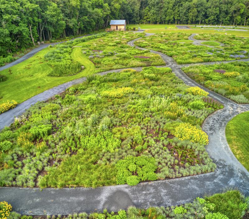 The Meadow Garden at Delaware Botanic Gardens was conceived by internationally recognized designer Piet Oudolf.